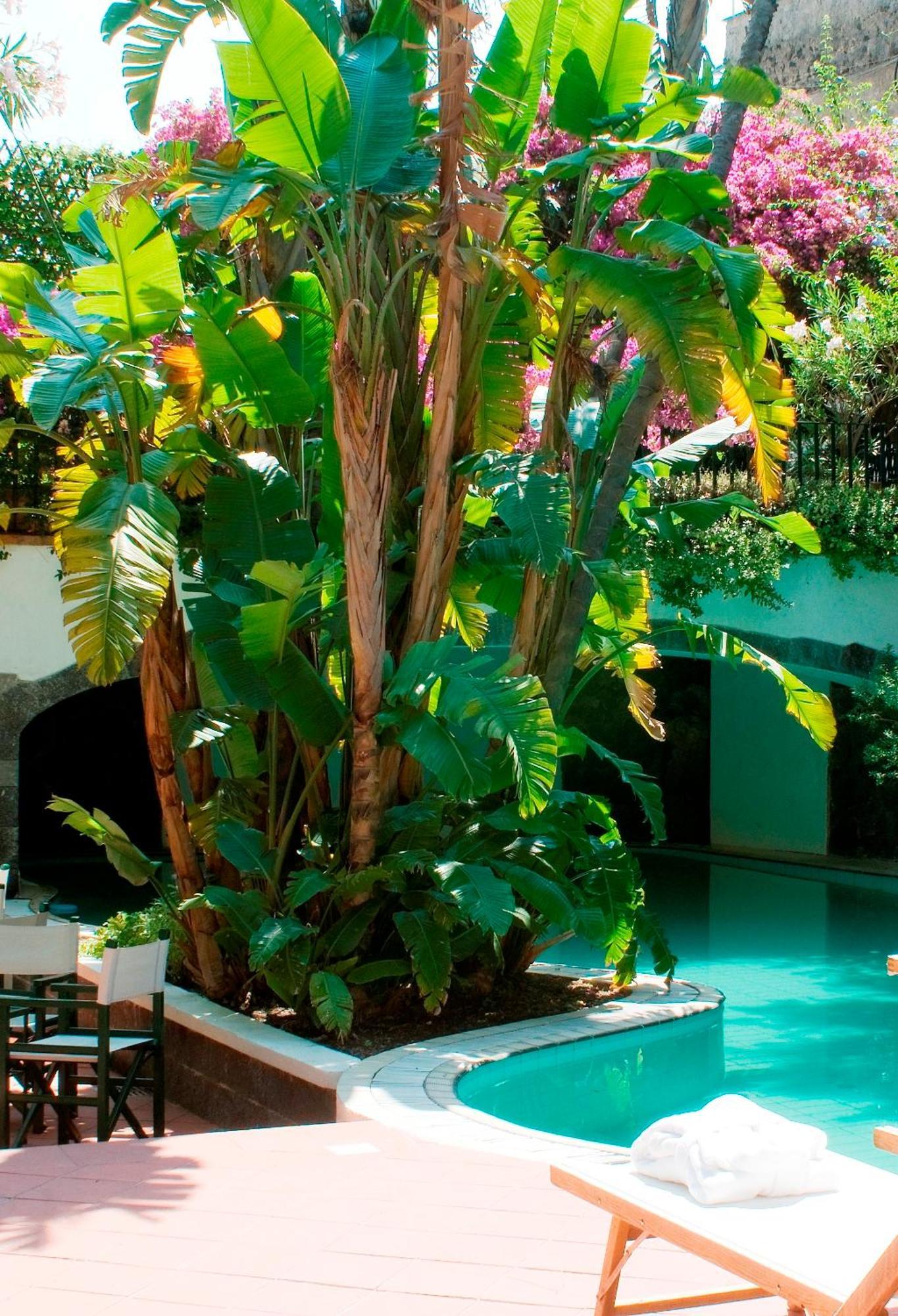 Hotel La Villarosa Terme Ischia Buitenkant foto